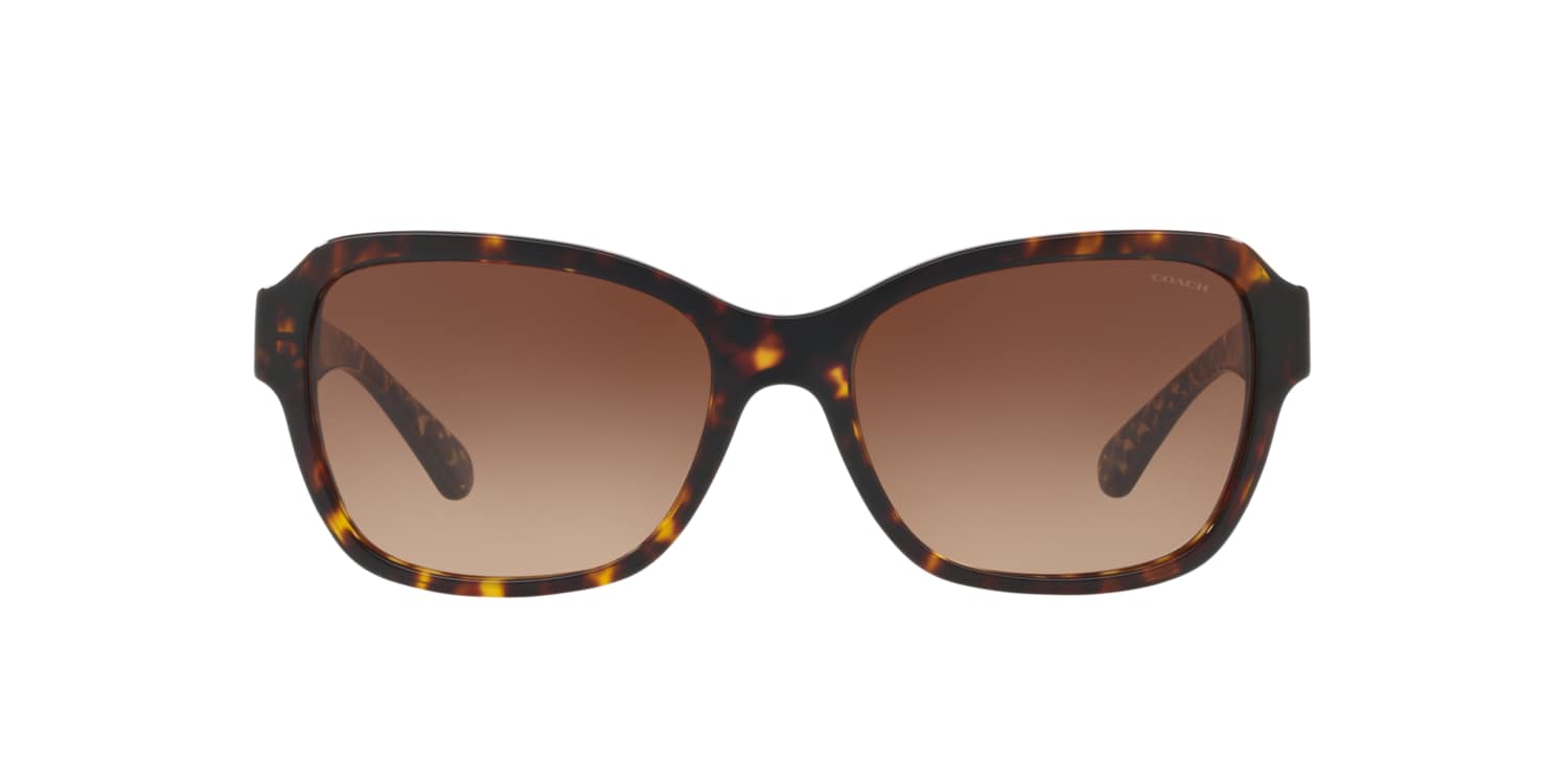 Coach 0HC8232 Sunglasses in Tortoise | Target Optical