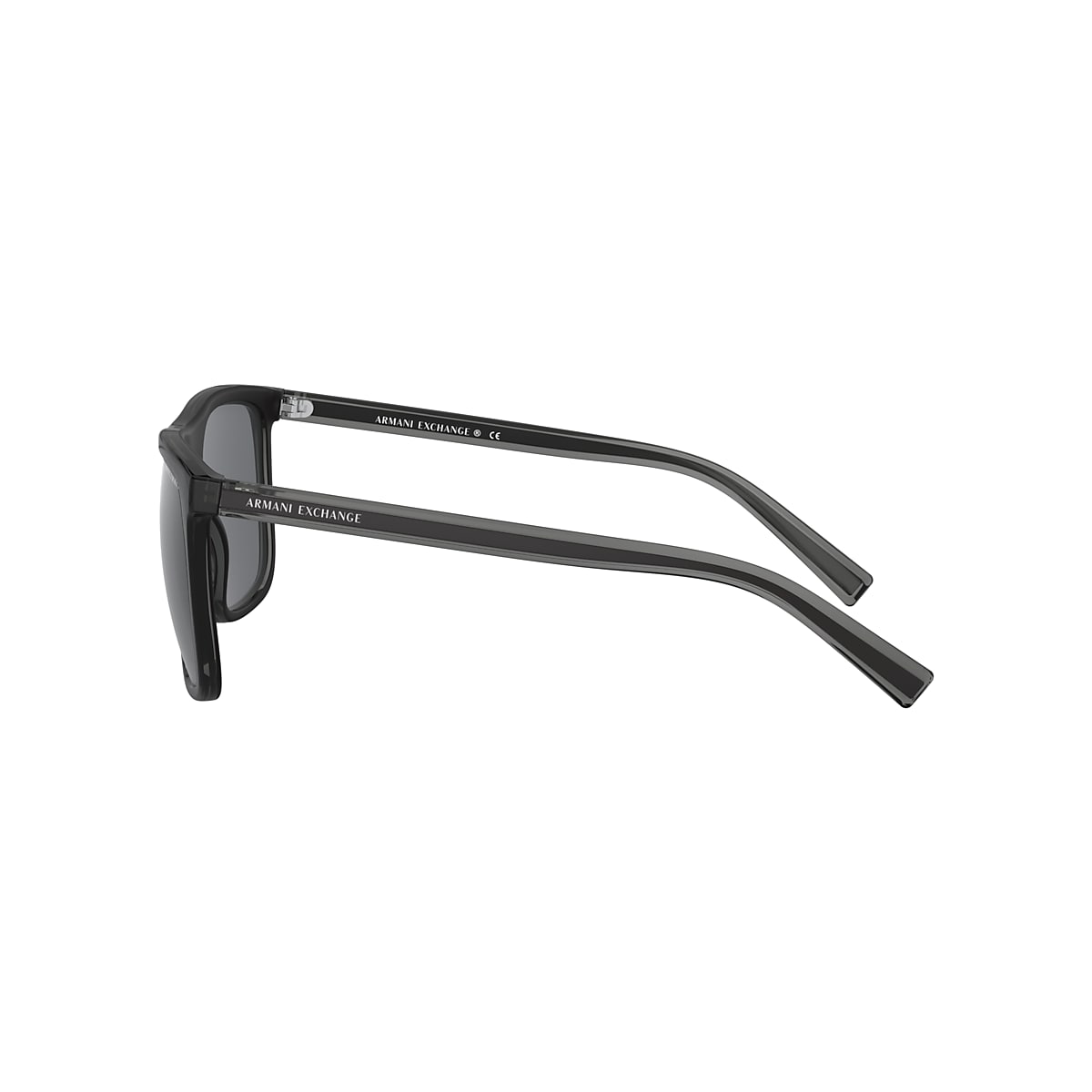Armani Exchange 0AX4102S Sunglasses in Black