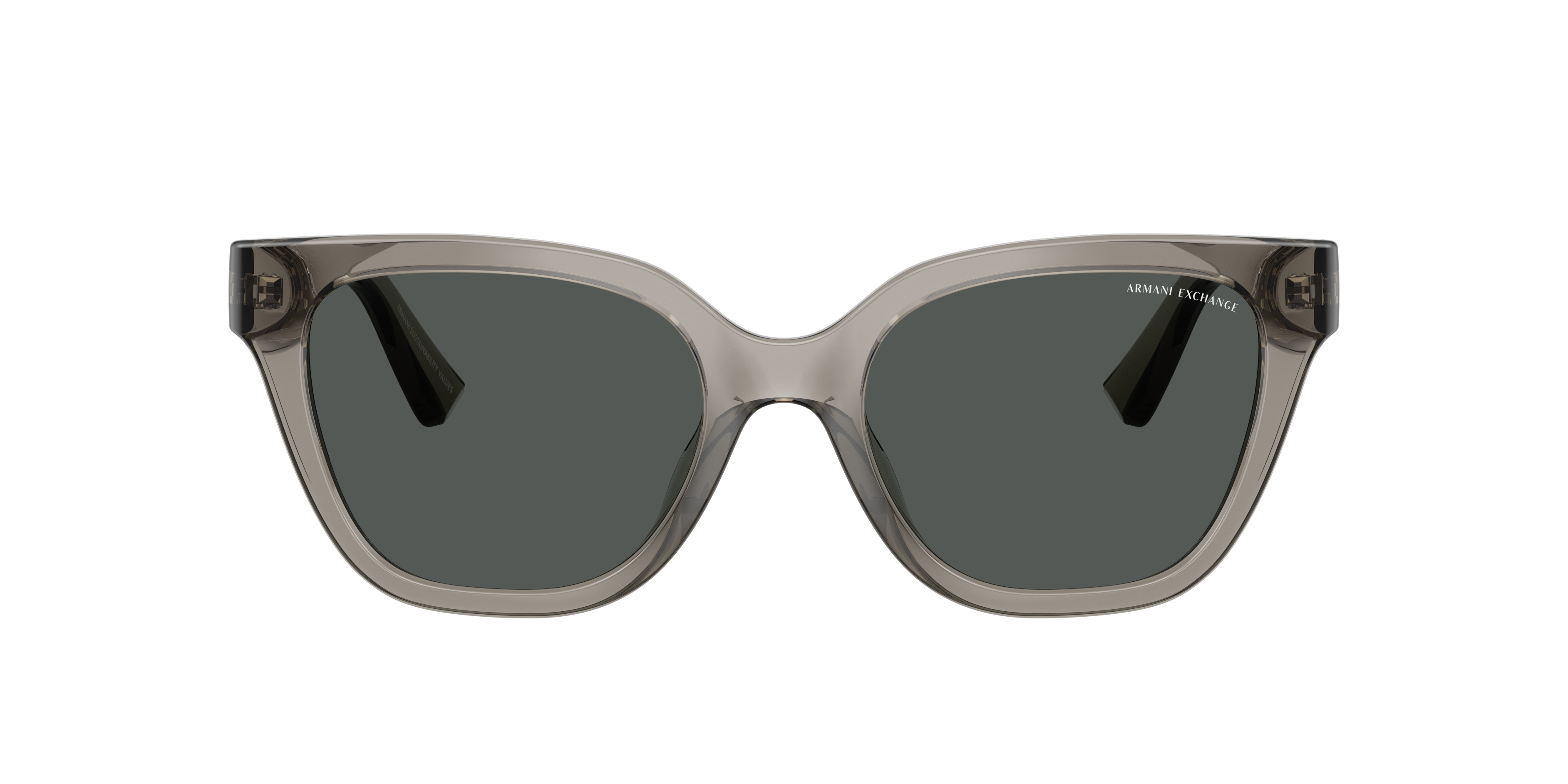 Armani Exchange Armani Exchange Sunglasses in Silver/Gunmetal/Grey