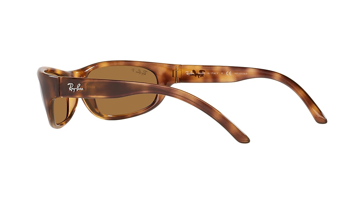 Ray-Ban 0RB4033 Sunglasses in Tortoise | Target Optical