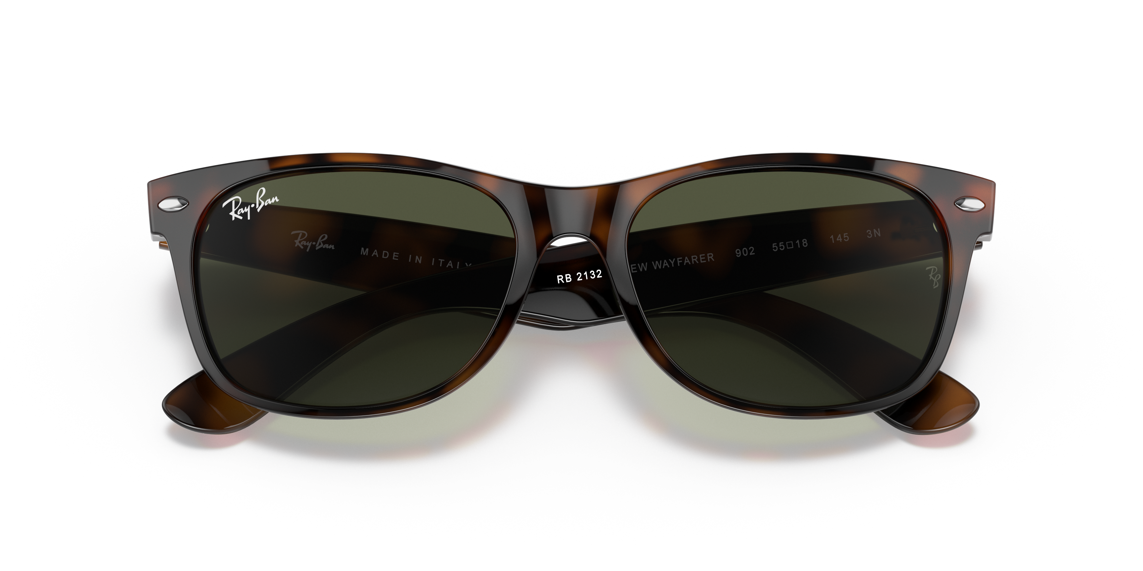 ray ban turtle
