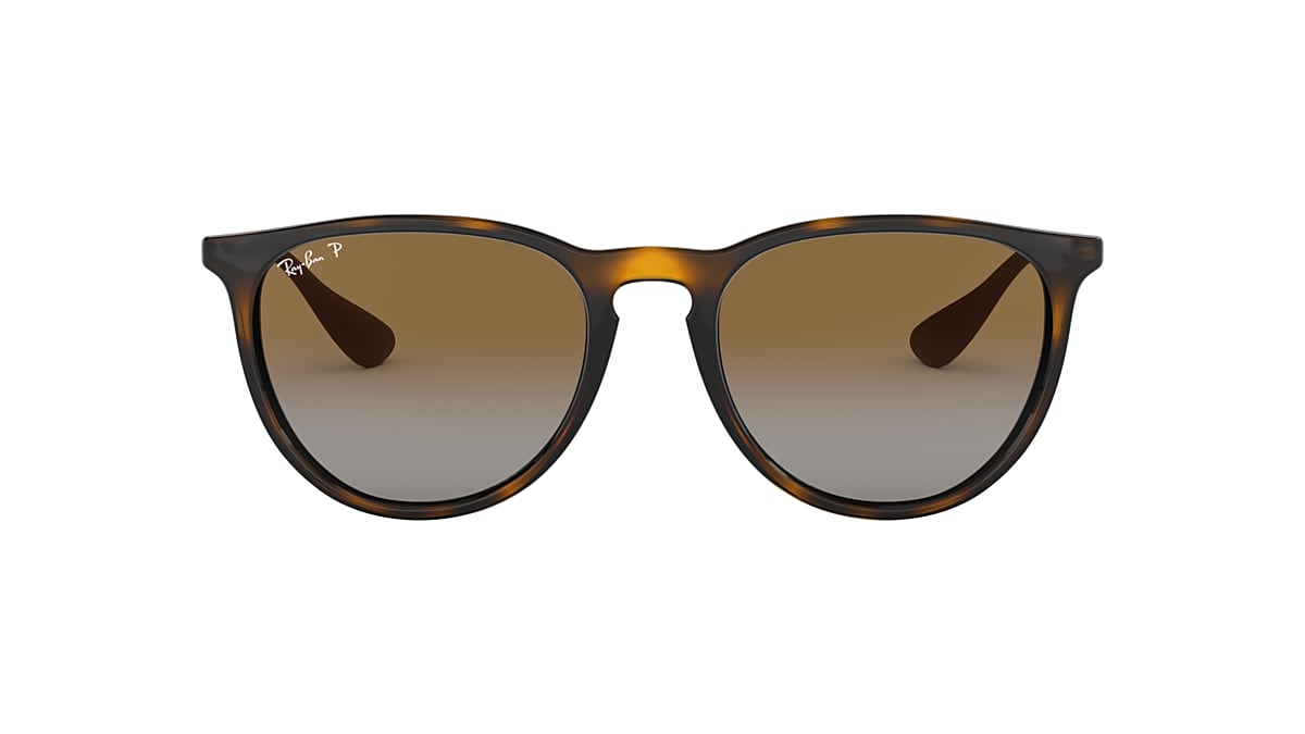 Ray-Ban 0RB4171 Sunglasses in Tortoise | Target Optical