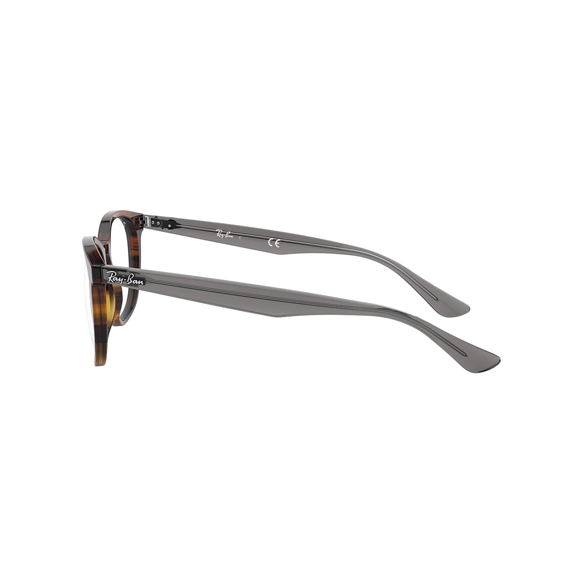 Ray-Ban 0RX5356 Glasses in Tortoise | Target Optical