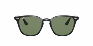 Ray-Ban 0RB4258 Sunglasses in Black | Target Optical