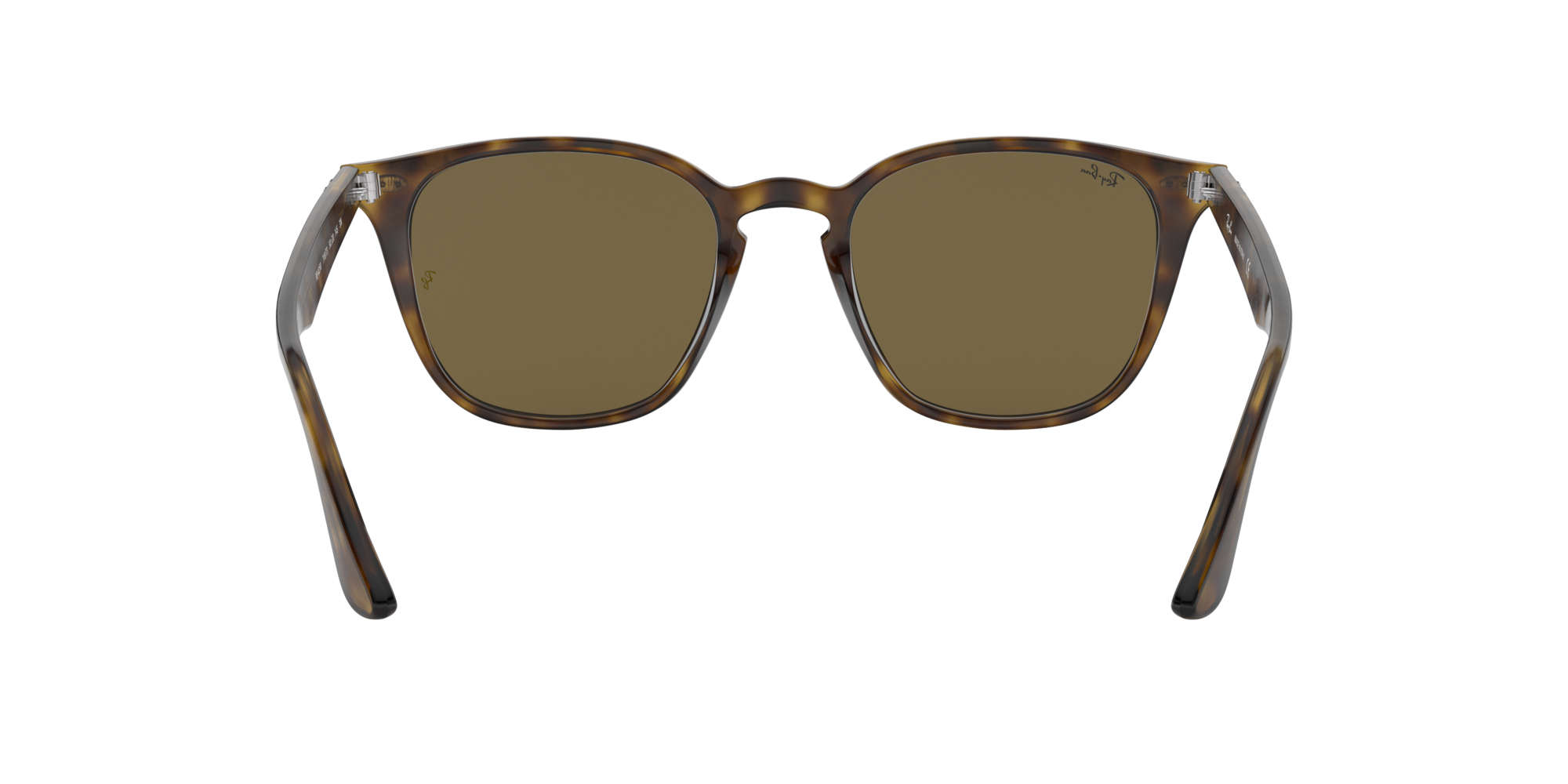 ray ban 4258 tortoise