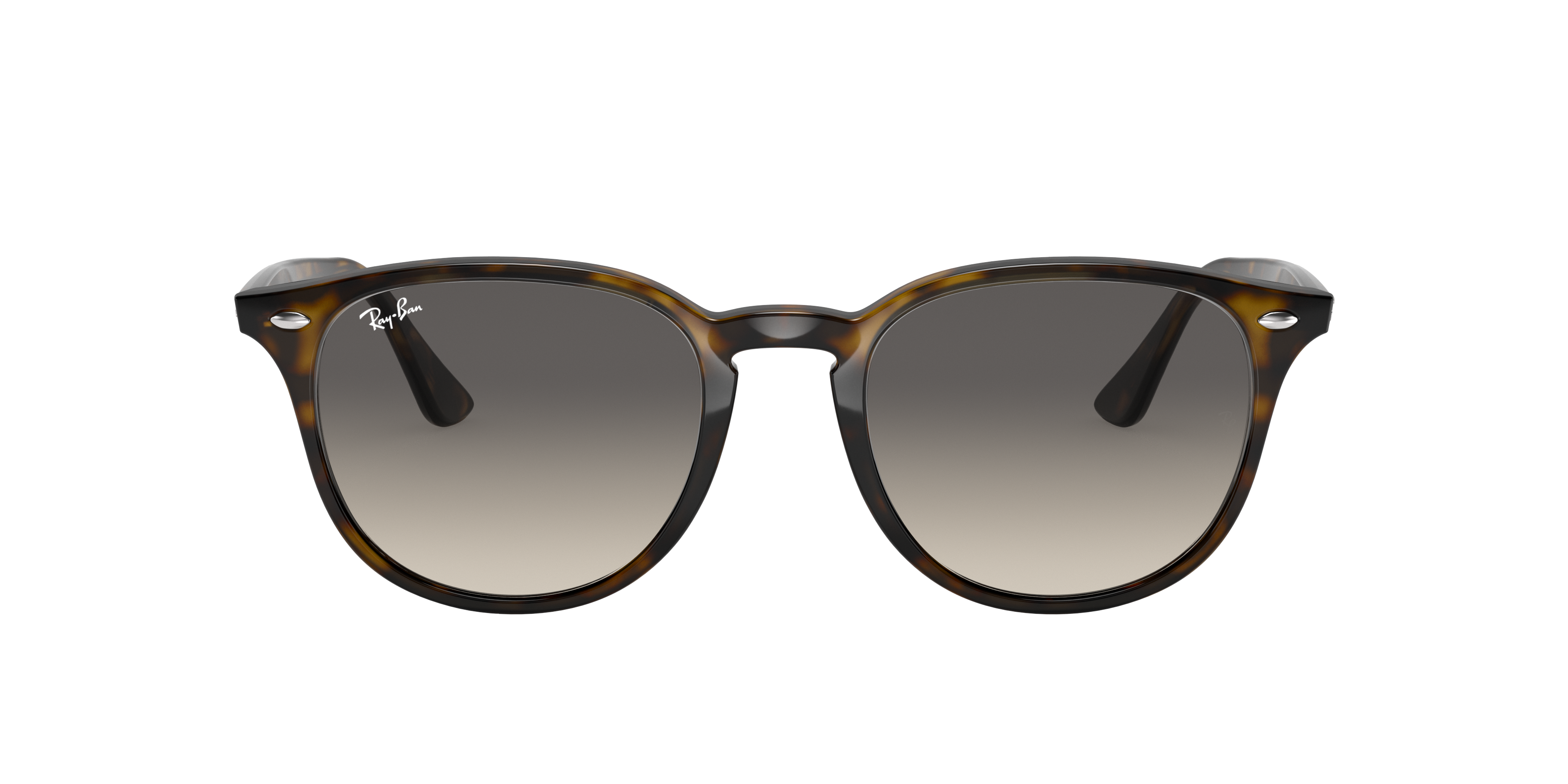 Ray-Ban 0RB4259 Sunglasses in Tortoise | Target Optical