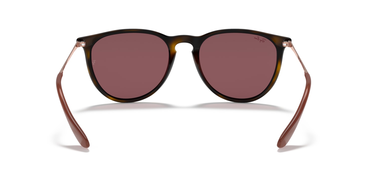 Ray-Ban 0RB4171 Sunglasses in Tortoise