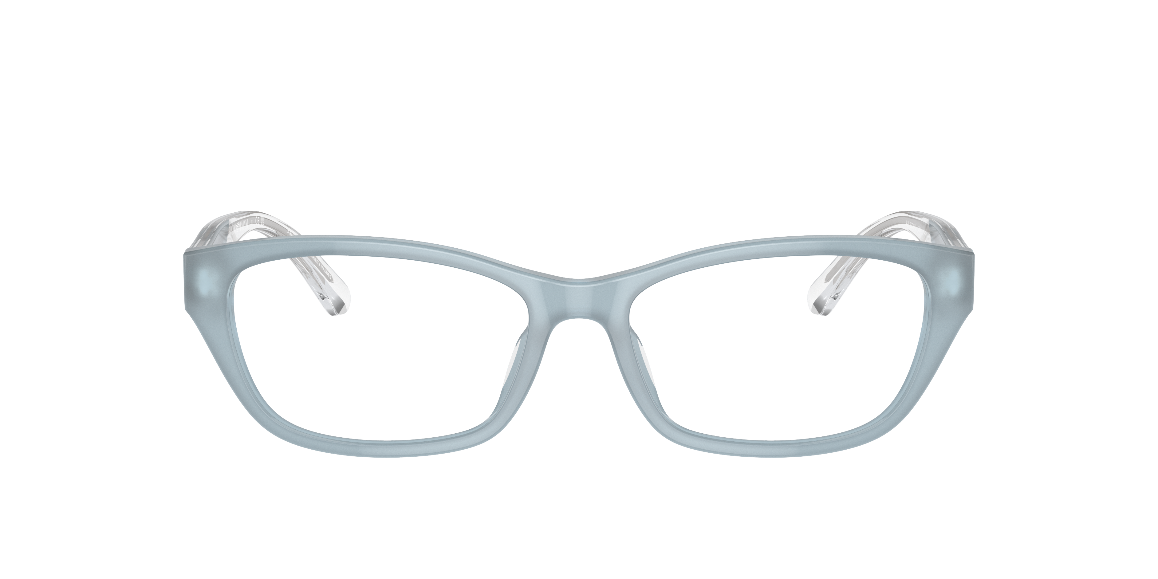 Emporio Armani Blue Stainless Steel Glasses (Frames)