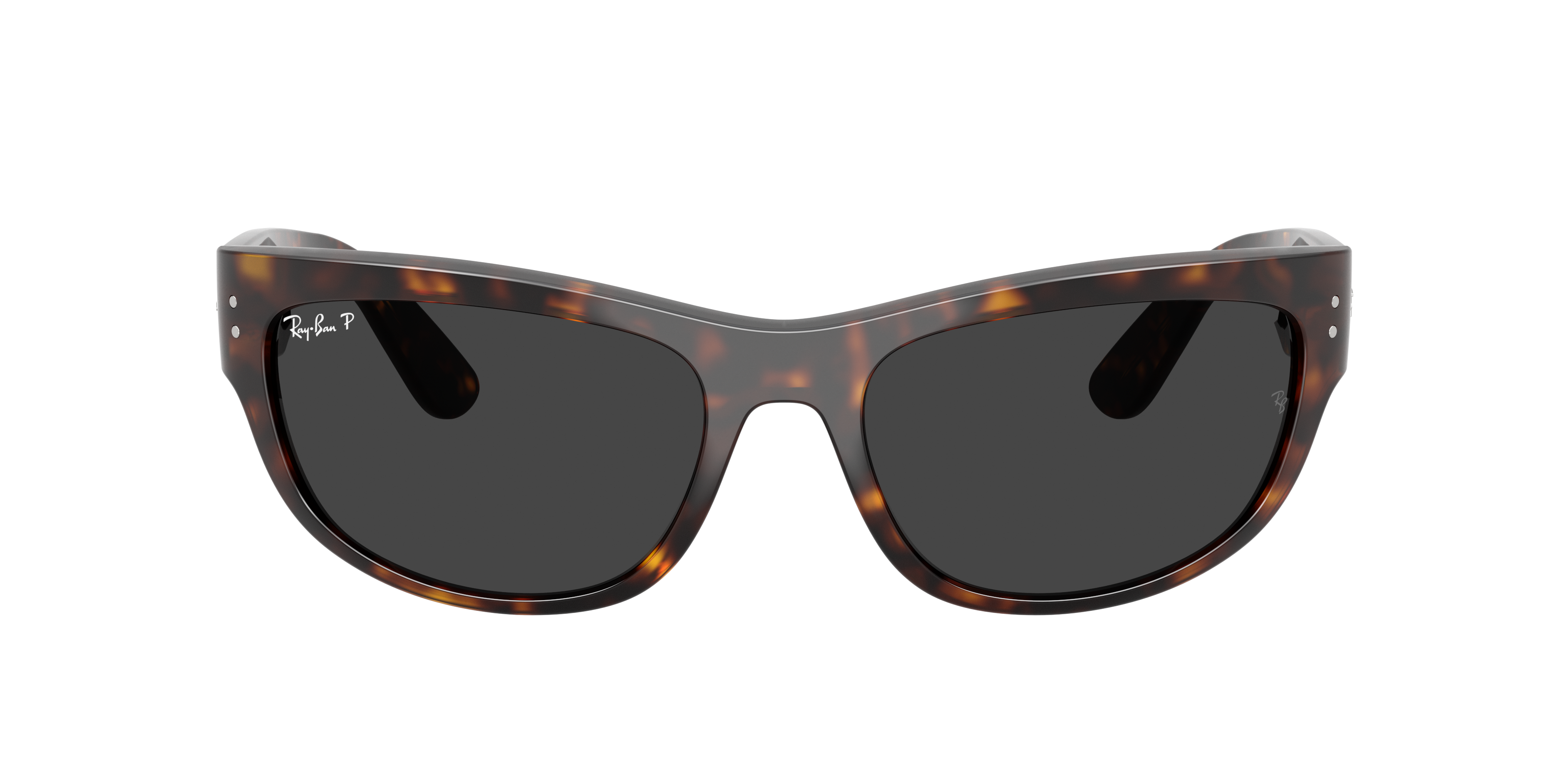 Ray-Ban 0RB2289 Sunglasses in Tortoise | Target Optical