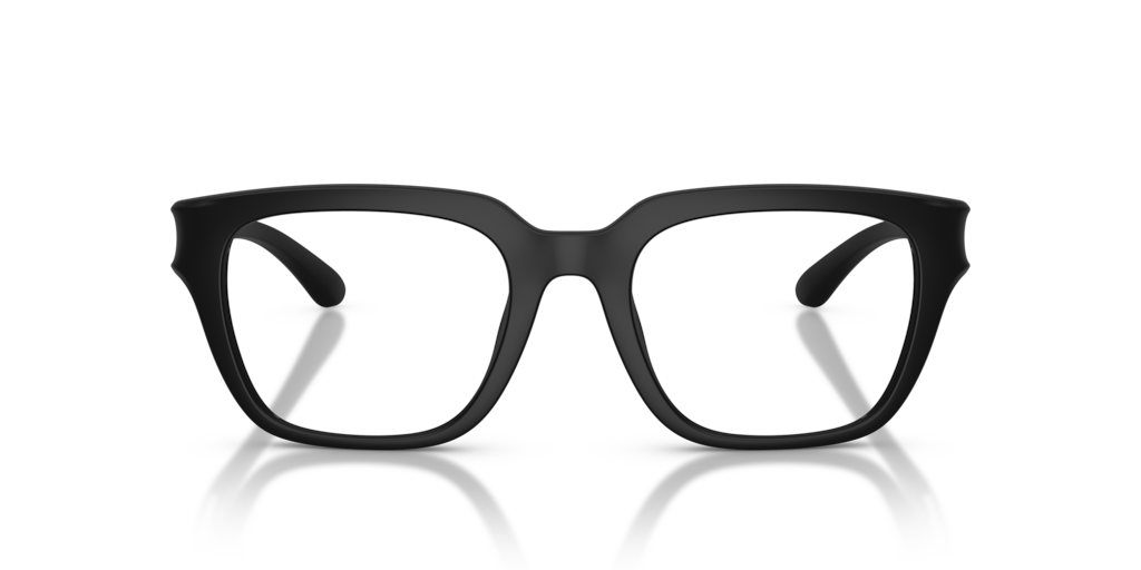【DIESEL】送料/関税込 0DL2002 GLASSES 8056262399019__STD__shad__fr.