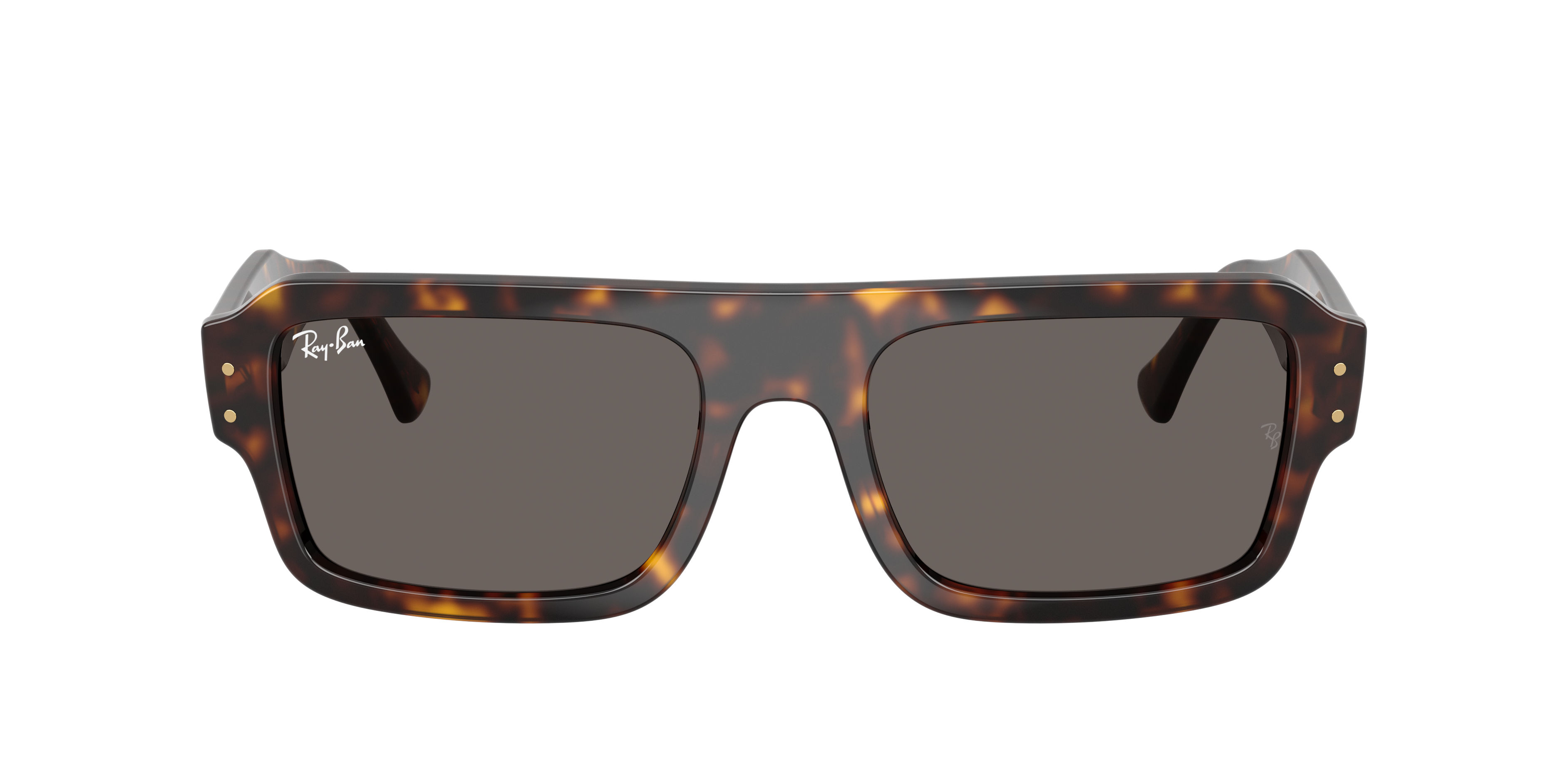Ray-Ban Ray-Ban Sunglasses in Tortoise | Target Optical