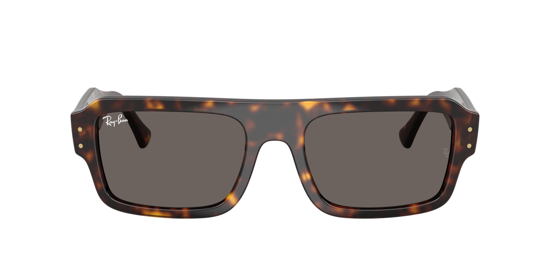 Ray-Ban Ray-Ban Sunglasses in Tortoise | Target Optical