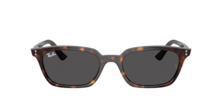 Ray-Ban Ray-Ban Sunglasses in Tortoise | Target Optical