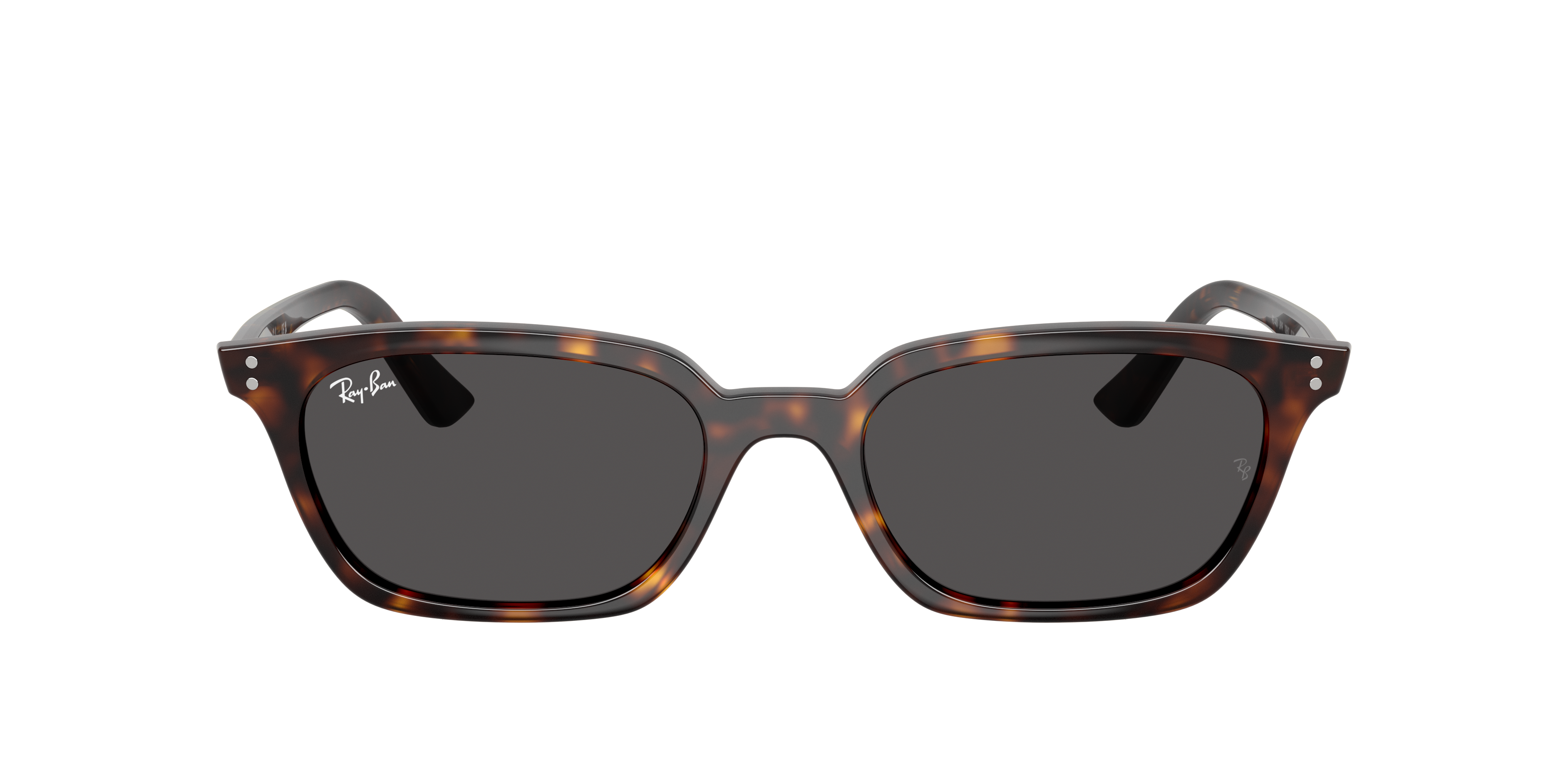 Ray-Ban ZAYA BIO-BASEDスクエア サングラス Ray-Ban Zaya Bio-Based Sunglasses | Brown | FARFETCH