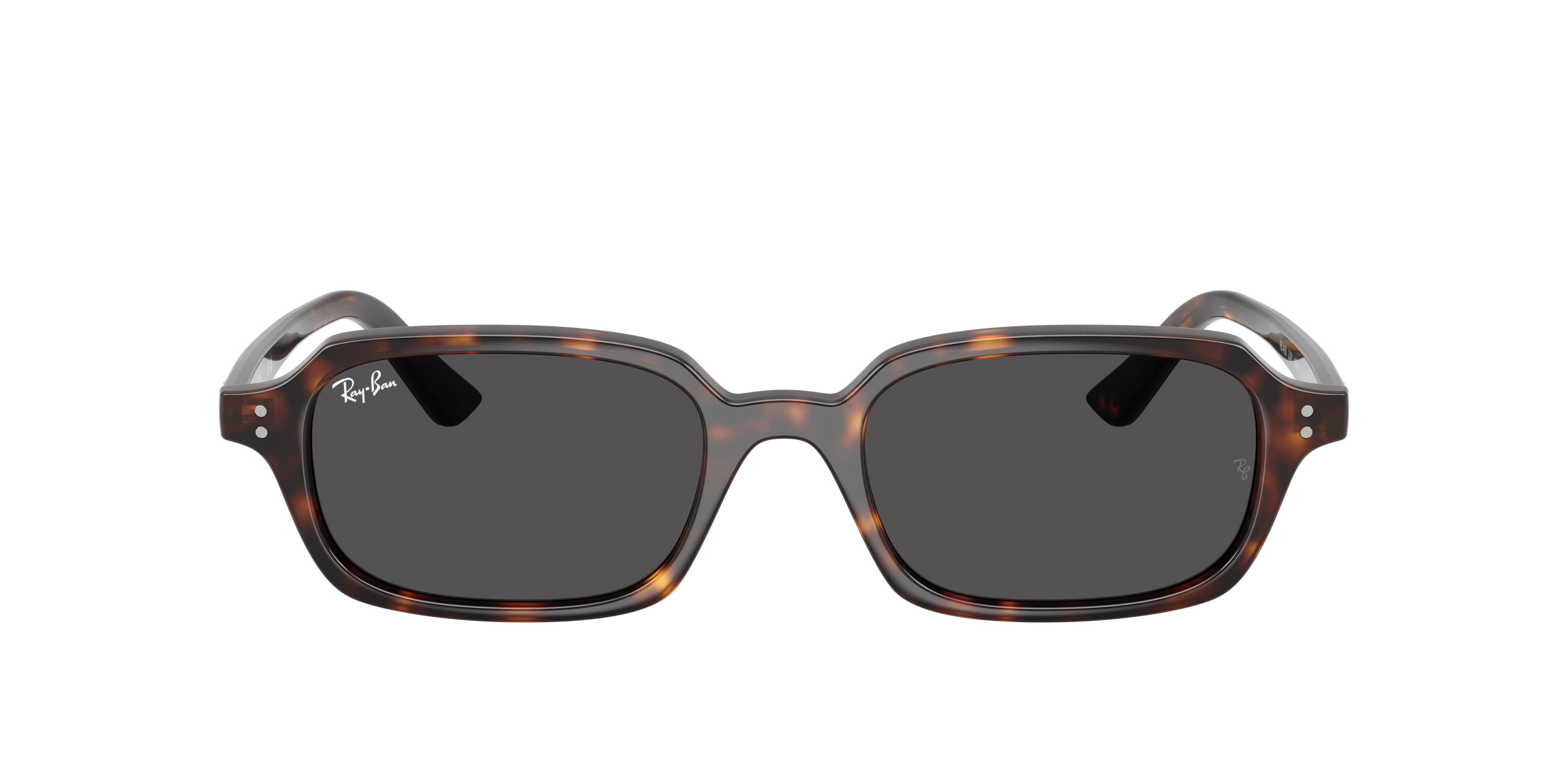 Ray-Ban Ray-Ban Sunglasses in Tortoise | Target Optical