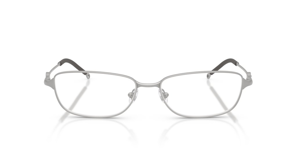 【DIESEL】送料/関税込 0DL2002 GLASSES Diesel Diesel Glasses in Silver/Gunmetal/Grey | Target Optical