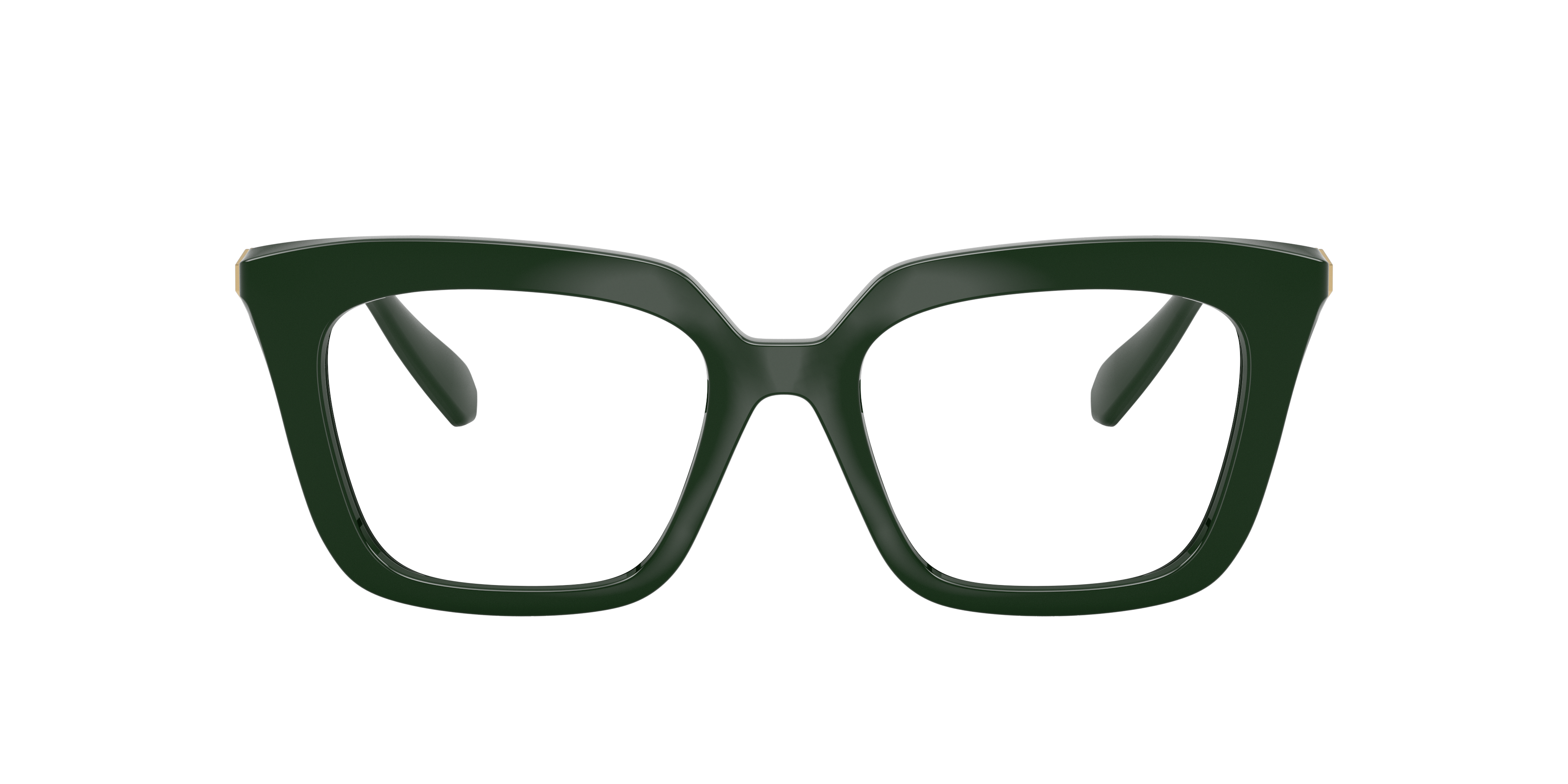 Swarovski 0SK2043 Glasses in Green | Target Optical