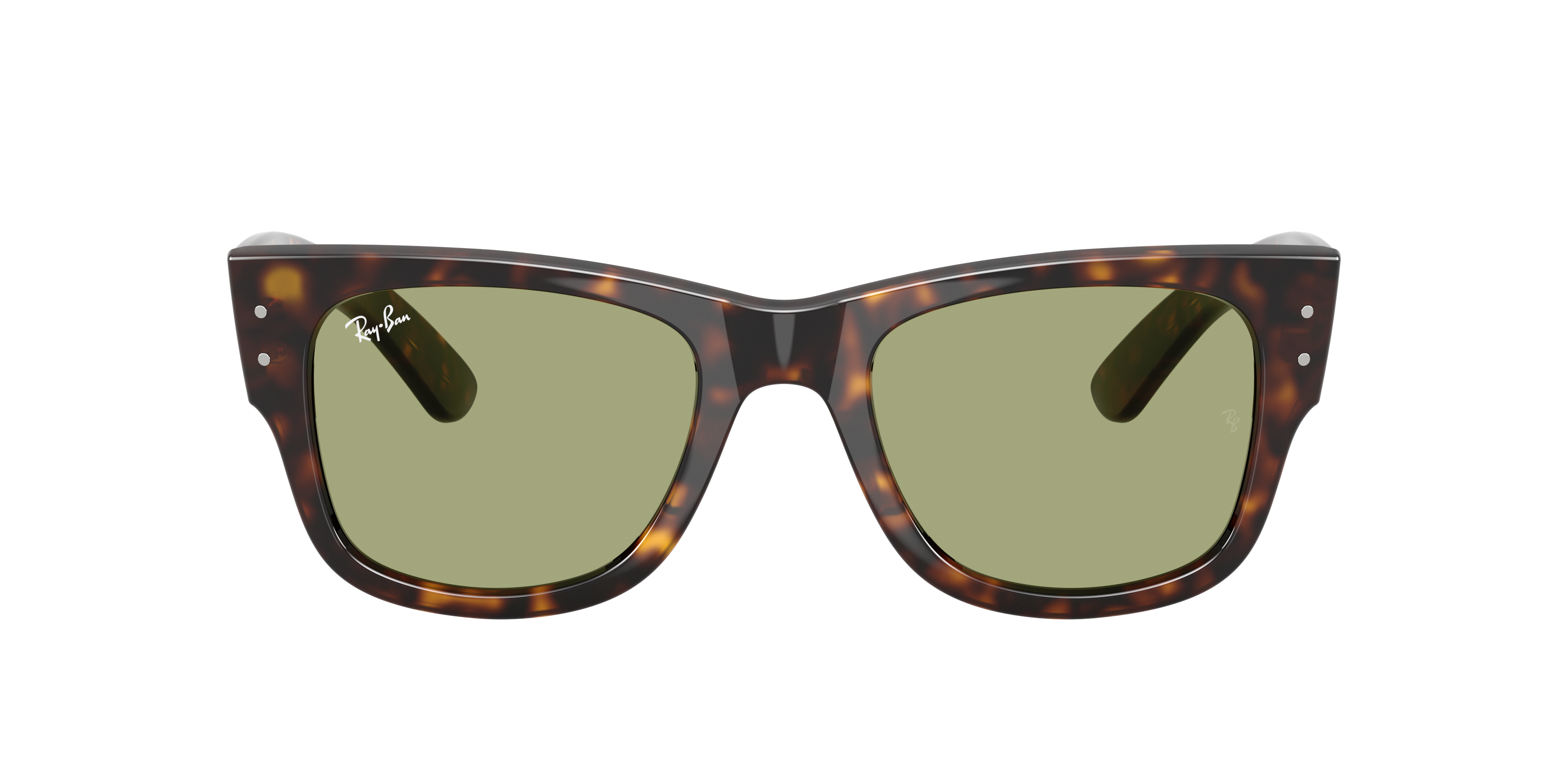 Ray-Ban Ray-Ban Sunglasses in Tortoise | Target Optical