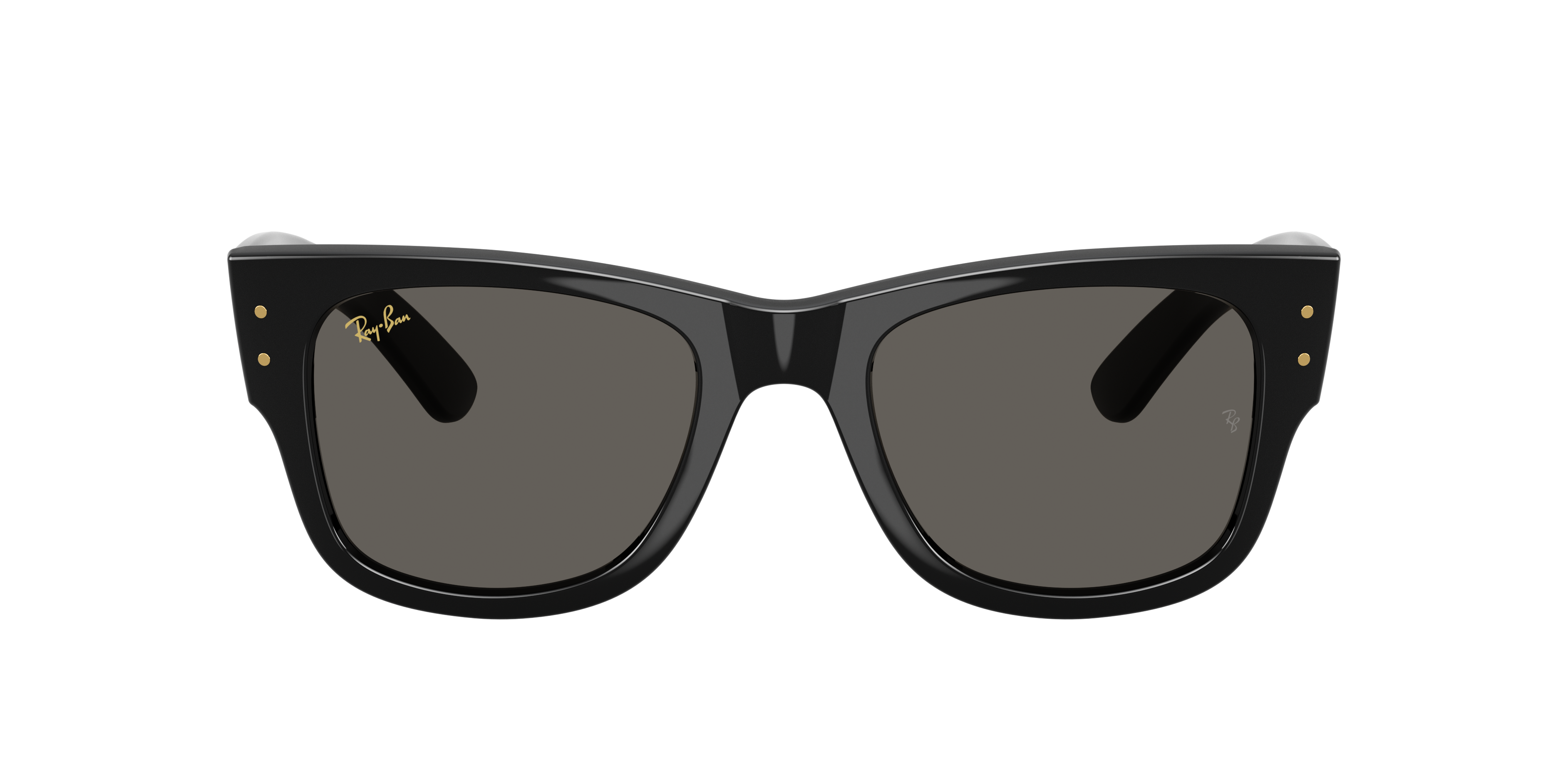 Ray-Ban Ray-Ban Sunglasses in Black Target Optical