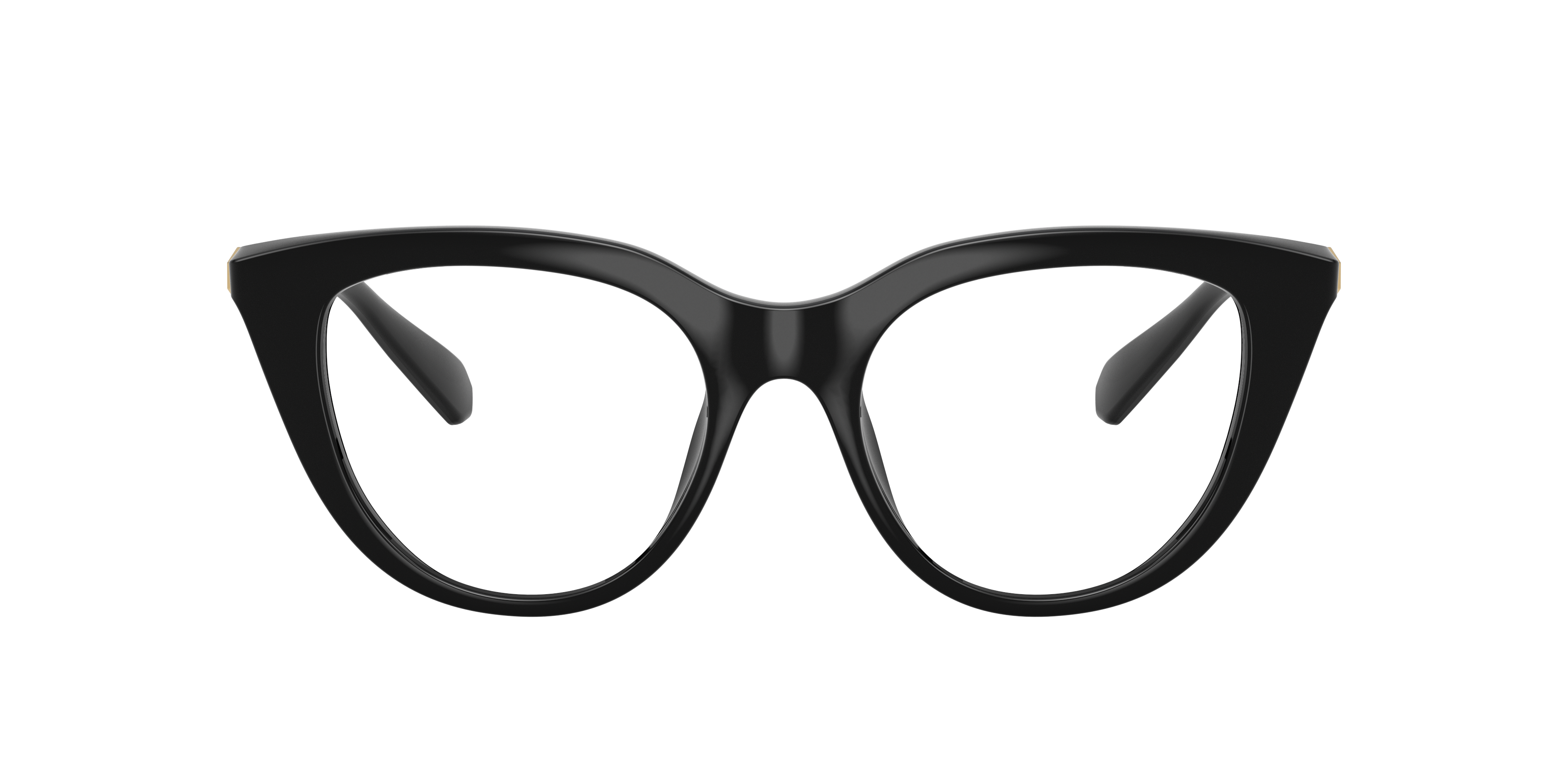 Swarovski Swarovski Glasses in Black | Target Optical