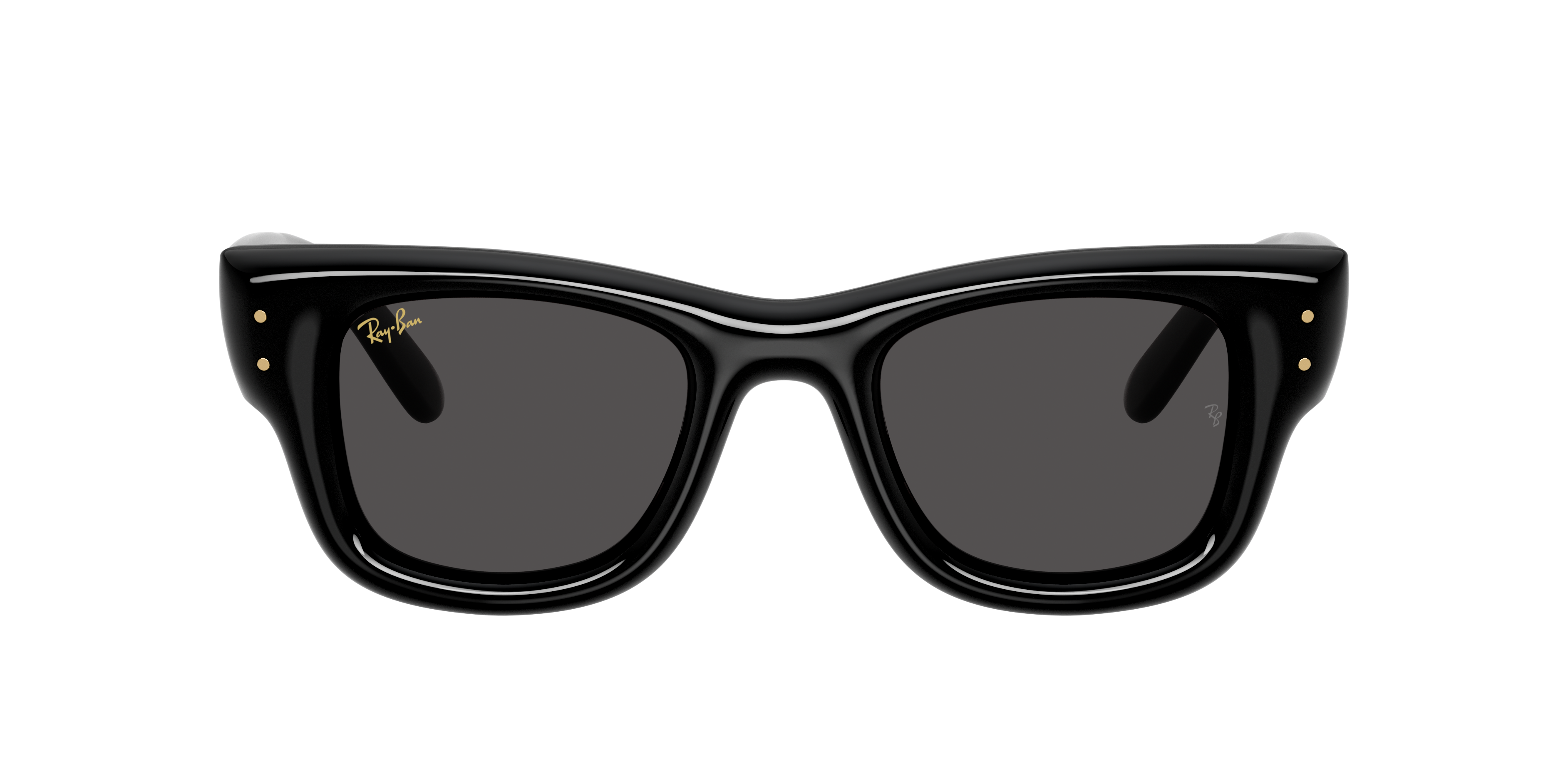 Ray-Ban Ray-Ban Sunglasses in Black | Target Optical