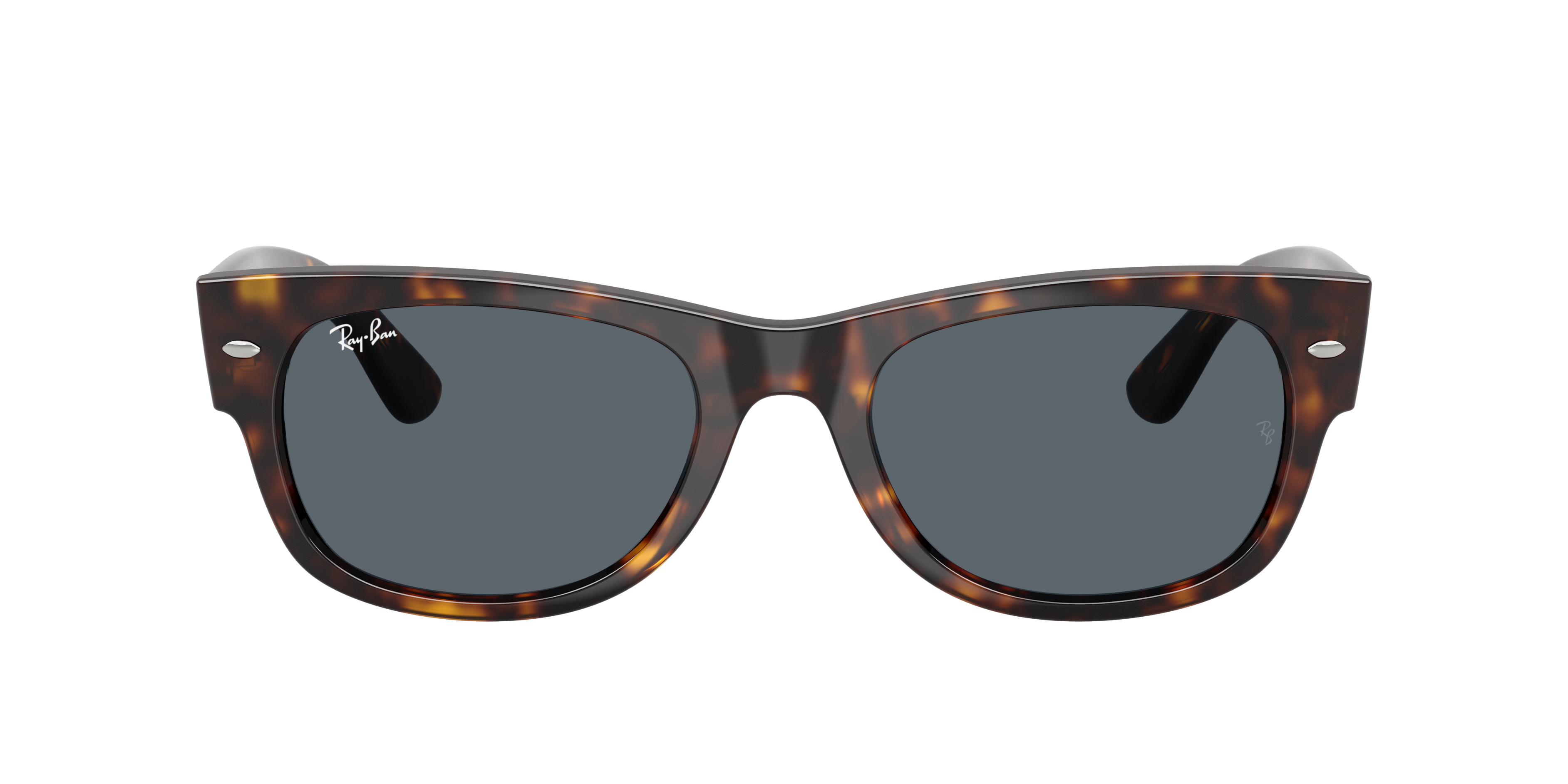 Ray-Ban Ray-Ban Sunglasses in Tortoise | Target Optical