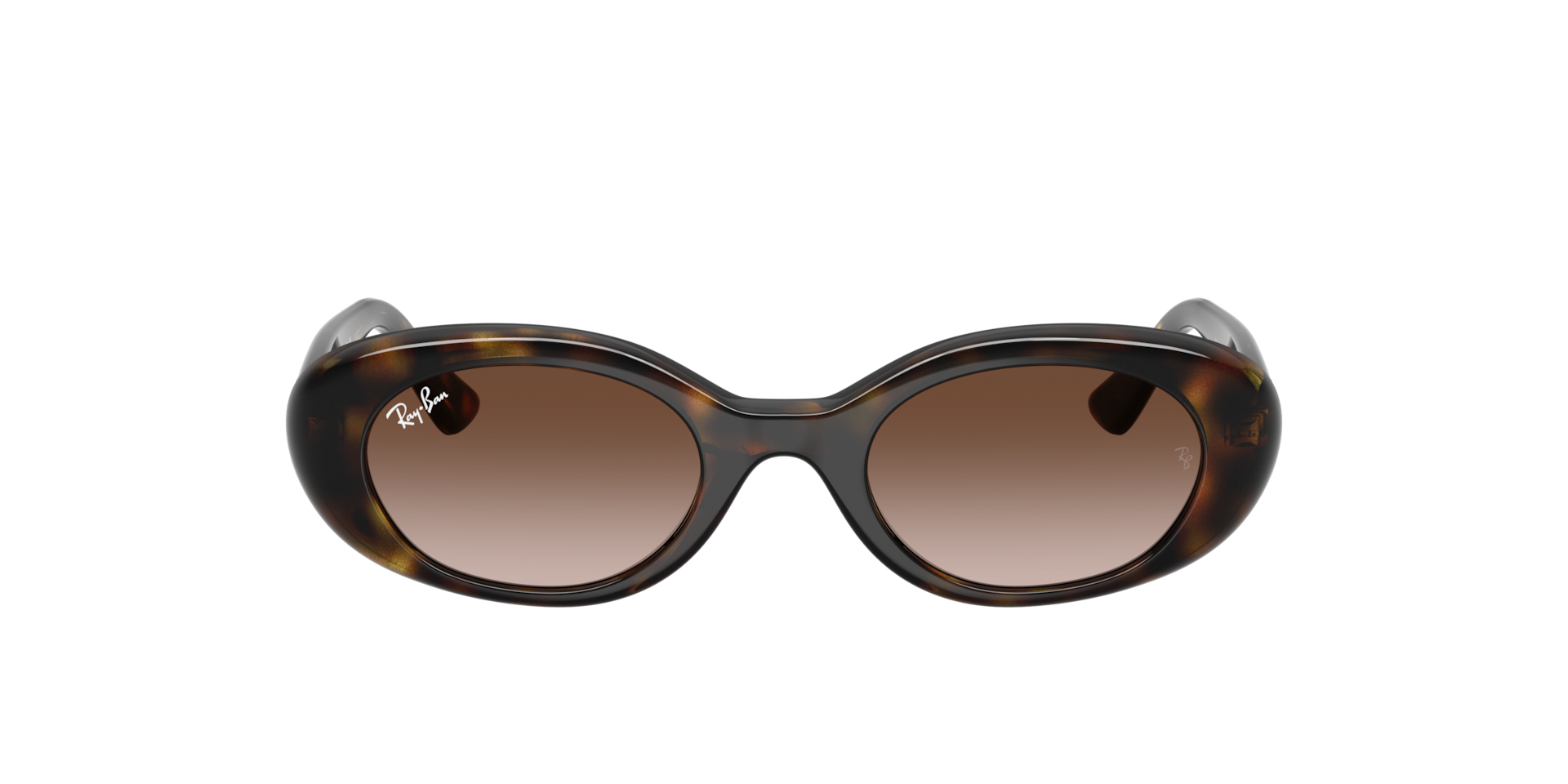 Ray-Ban Ray-Ban Sunglasses in Tortoise | Target Optical