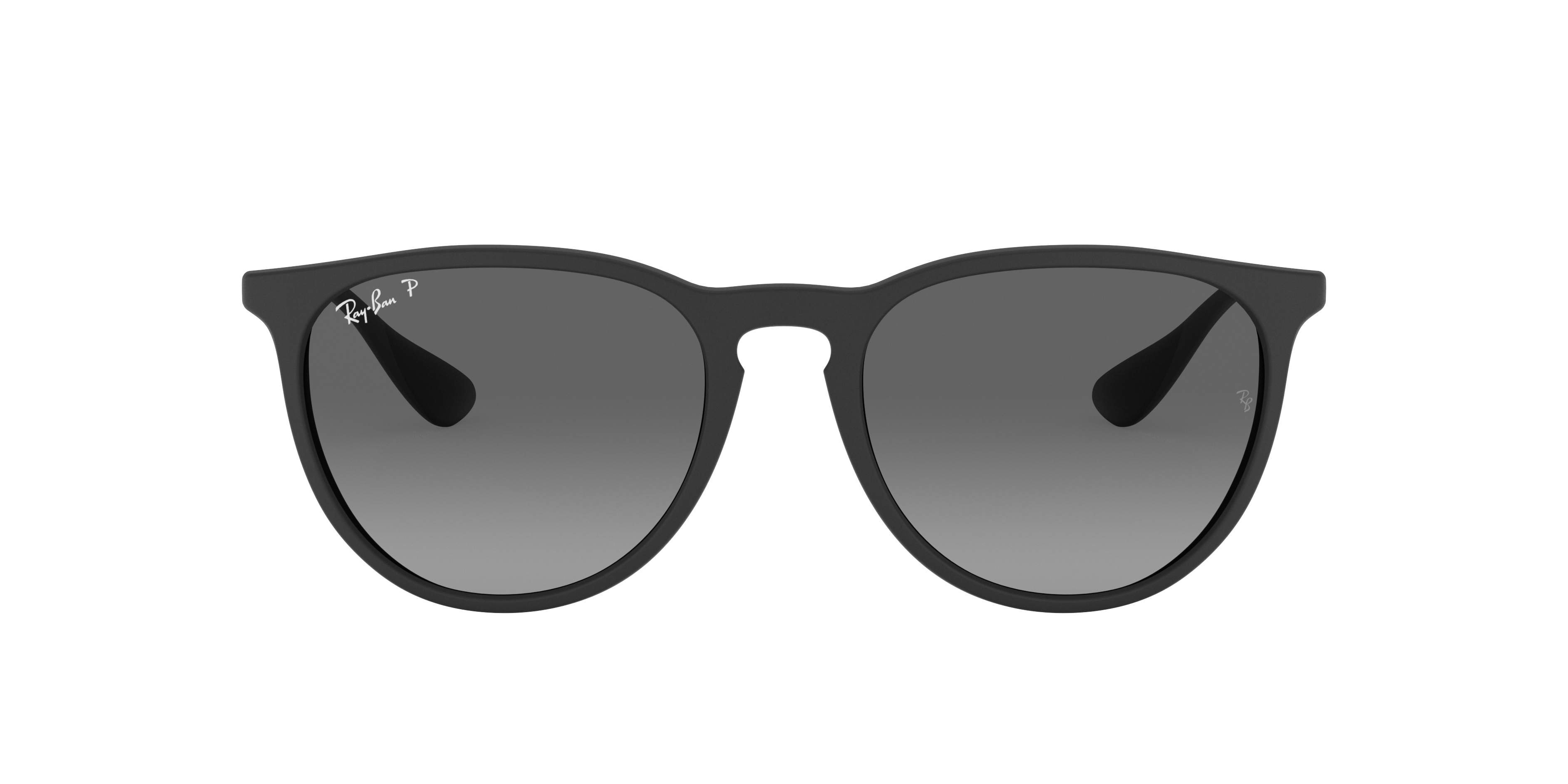 Ray-Ban Ray-Ban Sunglasses in Black | Target Optical