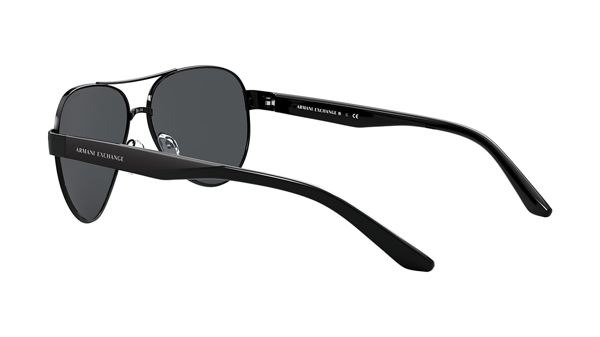 Armani Exchange 0AX2034S Sunglasses in Black | Target Optical