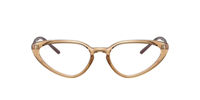 Ray Ban Eyeglasses Sunglasses With Prescription Target Optical