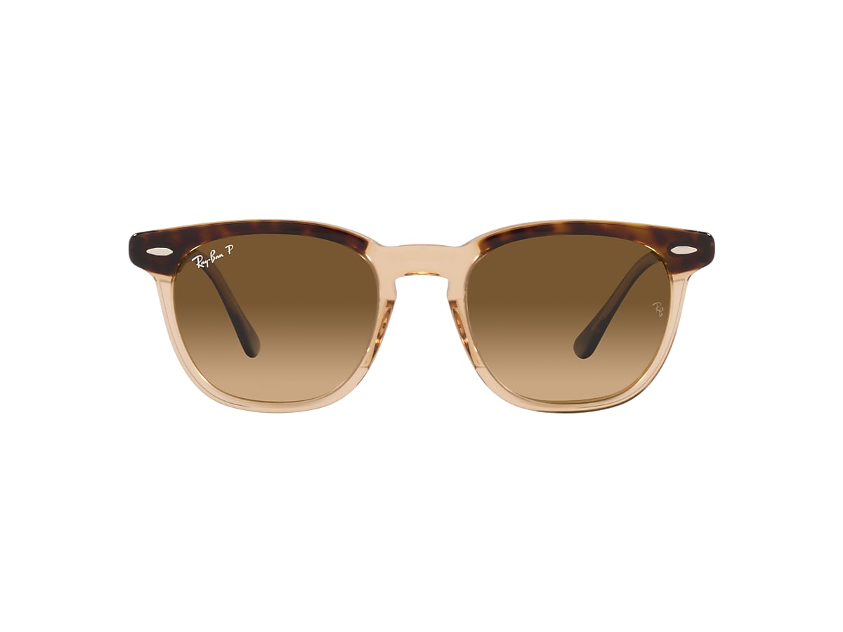 Ray-Ban 0RB2298 Sunglasses in Tortoise | Target Optical