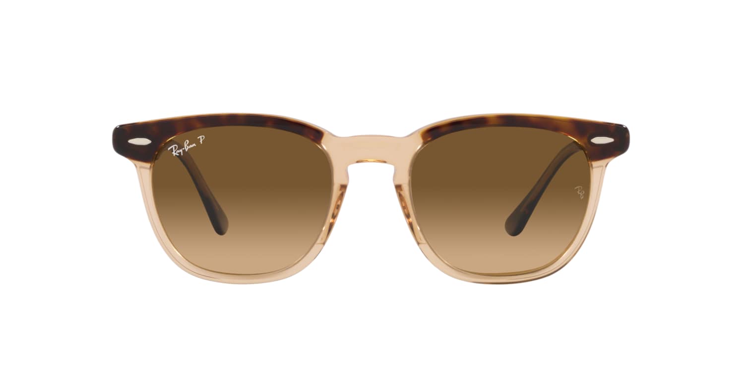 target clubmaster sunglasses