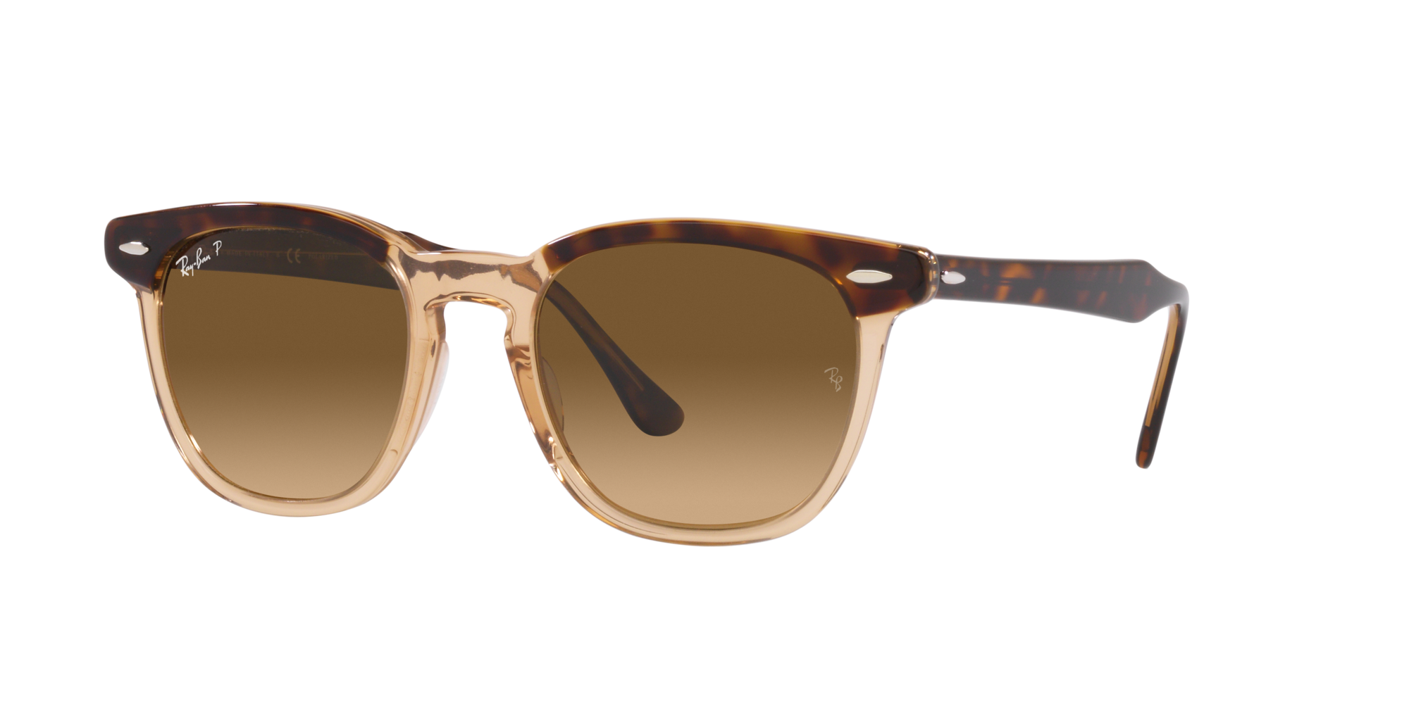 RAY BAN 0RB 3699 – Dayal Opticals