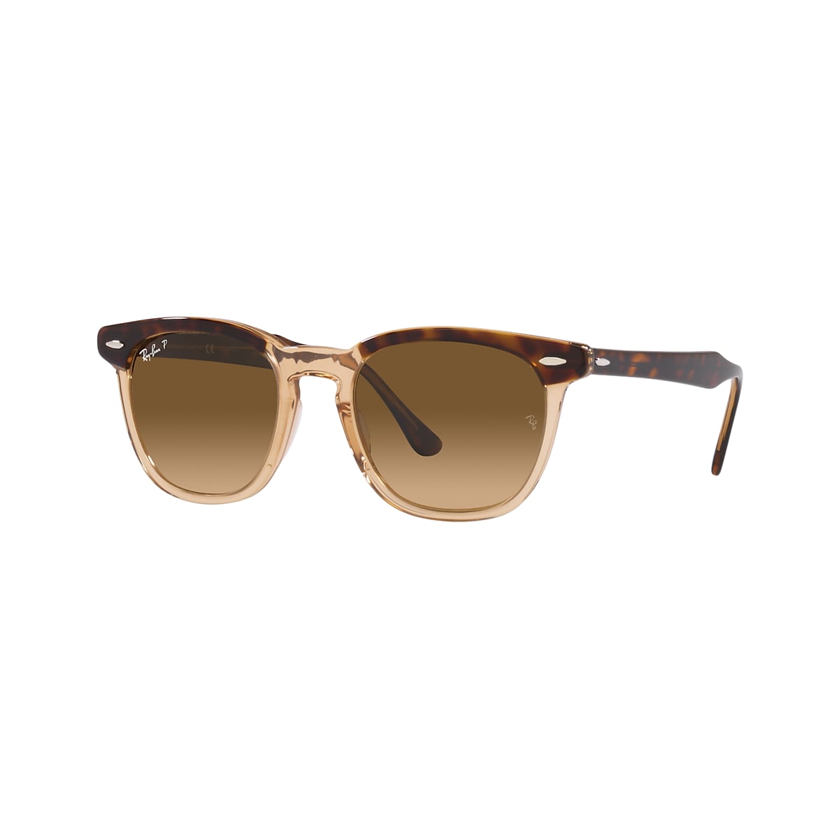 Ray-Ban 0RB2298 Sunglasses in Tortoise | Target Optical