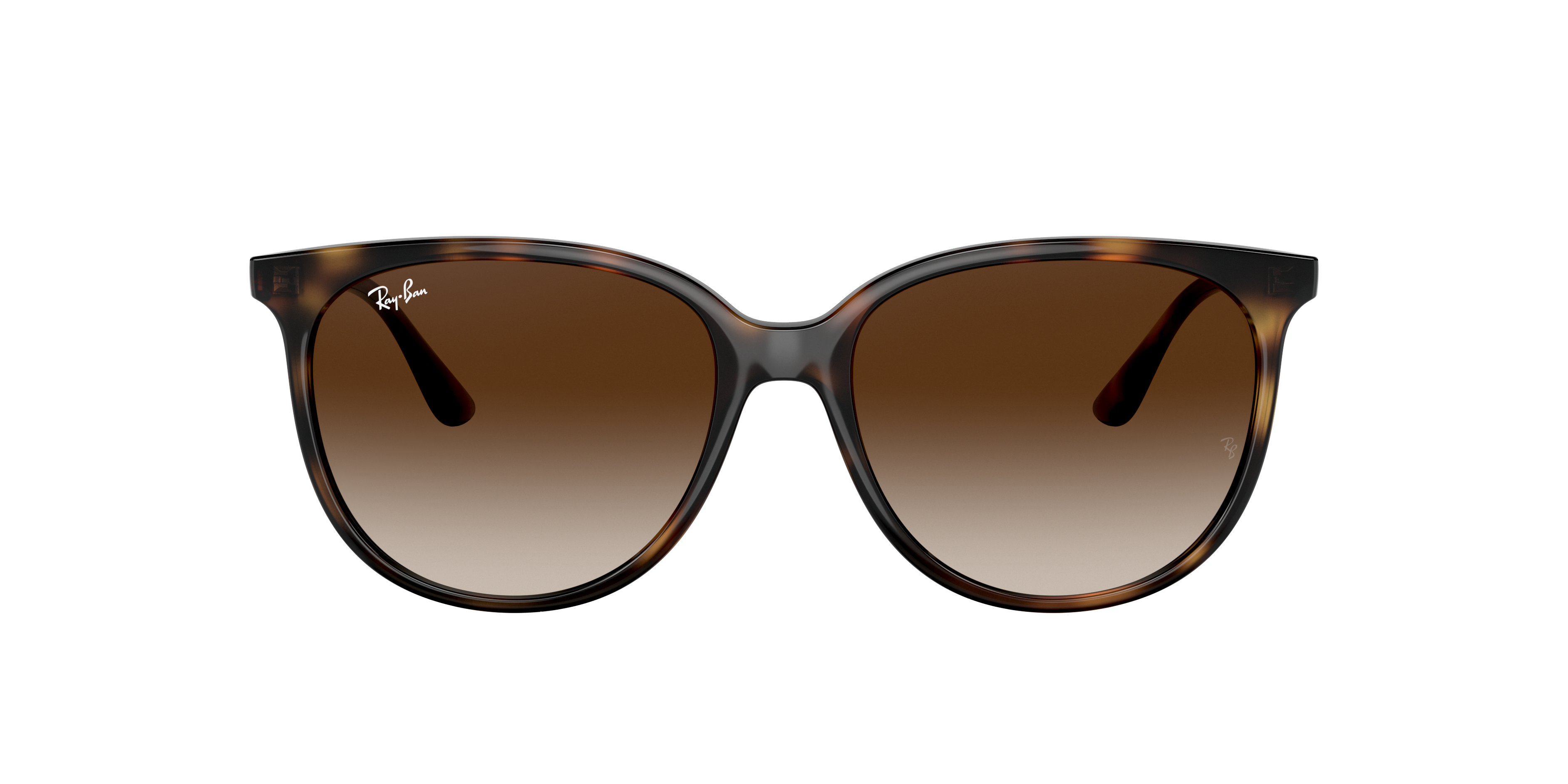Ray-Ban 0RB4378 Sunglasses in Tortoise | Target Optical