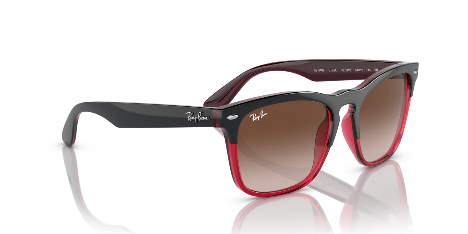 Ray ban rb 4487 2025 price