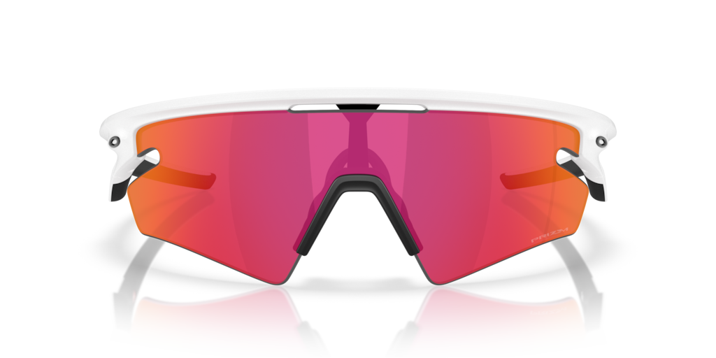 OAKLEY ベッコウ　サングラス OAKLEY オークリー サングラス モンスタードッグ べっ甲柄 05